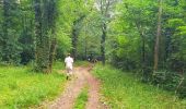 Randonnée Marche Onhaye - Balade de Falaën à Sosoye - Photo 12