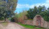 Tocht Stappen Argelès-sur-Mer - en attendant mes pneus  - Photo 20