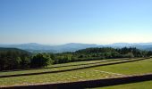 Tocht Te voet Barberino di Mugello - Sorgenti di Firenze Trekking – Anello 12: Alle sorgenti dell’acqua Panna - Photo 10