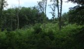 Randonnée A pied Inconnu - NaturZeitReise 1 - Relikte historischer Waldnutzung - Photo 2