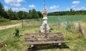 Tocht Stappen Meix-devant-Virton - Gerouville 060723 - Photo 9