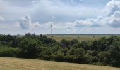 Trail Walking Altstrimmig - A la découverte du pont de Geierlay - Photo 10