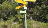 Trail Nordic walking Arbaz - les grillèsse - Photo 2