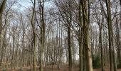 Tocht Stappen 's-Gravenbrakel - Bois de la Houssiere - Photo 8