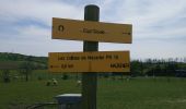 Trail Walking Mazerier - Les collines de Mazerier  - Photo 2