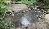 Randonnée Marche Frameries - SARS les Bruyère 17 km - Photo 8