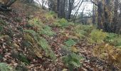 Tocht Stappen L'Estréchure - sentier du soult -  - Photo 3