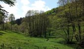 Excursión A pie Wald-Michelbach - Rundwanderweg Wald-Michelbach Lichtenklingen 1: Lichtenklinger-Hof-Weg - Photo 2