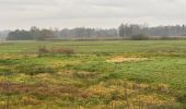 Tocht Stappen Nijlen - Nijlen Liers Lierre 23 km - Photo 12