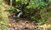 Trail Walking Girmont-Val-d'Ajol - herival - Photo 1