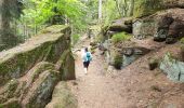 Tour Wandern Ottrott - Le circuit nord et sud du Mur Païen - Photo 12