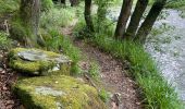 Trail Walking Monschau - Tour de Monschau 20Km - Photo 7