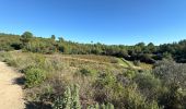 Tour Wandern Le Castellet - Le BRÛLÂT - Photo 2