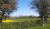 Randonnée Marche Theux - neufmarteau . trou colas . royonpré . neufmarteau  - Photo 12