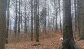 Excursión Senderismo Visé - Bois de la Julienne - Wixhoy - Photo 1