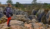 Tour Wandern Viroinval - Balade dans le Viroinval - Photo 3