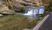 Tour Wandern Bonlieu - Le Hérisson Bonlieu - Photo 3