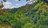 Tocht Stappen Doische - La Boucle de l'Hermeton - Photo 13