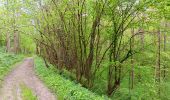 Randonnée Marche Anthisnes - anthisne . vien . les floxhes . la rock . les stepennes . anthisnes  - Photo 15