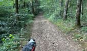 Trail Walking Claix - Colline de Comboire - Photo 5