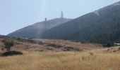 Tour Wandern Beaumont-du-Ventoux - bergerie de l avocat le contrat - Photo 5