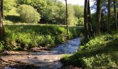 Tour Wandern Havelange - Bois, Rivière et champs - Photo 18