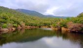 Tocht Stappen Bormes-les-Mimosas - SityTrail - 3043274 - bargeanxchartreuse-verne - Photo 19