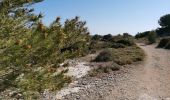 Tocht Stappen Martigues - entre Courone et Carro - Photo 10