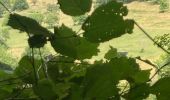 Trail Walking Marchamp - Cérin - Photo 3