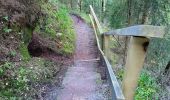 Tour Wandern Bad Peterstal-Griesbach - Bad Peterstal - cascade du Holchen - lac de Glaswald – échelle de la chaire du diable - cascade de Griesbach - Photo 12