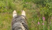 Trail Horseback riding Neufchâteau - Bois d’Ospot depuis les pompiers - Photo 4