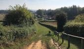 Trail Walking Heuvelland - Kemmel Dranouter 21 km - Photo 1