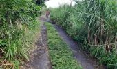 Tour Wandern Le Lorrain - La Crabiere 2 - Photo 10