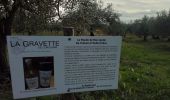 Trail Walking Corconne - Corconne vignes garrigue oliveraies  - Photo 11