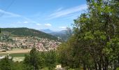 Randonnée Marche Sisteron - chapelle de st  Domin - Photo 2