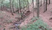Tour Wandern Assesse - Sart Bernard 030920 - Photo 4