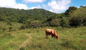 Tour Wandern Saint-Joseph - Traces Oliviers - Photo 2