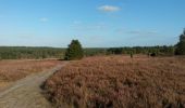 Trail On foot Buchholz in der Nordheide - Wanderweg 1 Buchholz - Photo 10