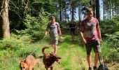 Trail Walking Martelange - Club canin chestrolais juin 2019 - Photo 4