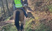 Tocht Paardrijden Walscheid - Walscheid joyeux Tivio arcane joya torero  - Photo 2