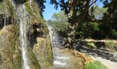 Percorso Marcia Lorgues - SityTrail - Le hameau de Sauveclare - Photo 20