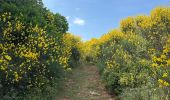 Trail  Saint-Privat - Grand mont Soumont Le Bosc  - Photo 2