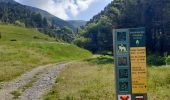 Trail Walking Lus-la-Croix-Haute - Col de Chante depuis Amayeres - Photo 6