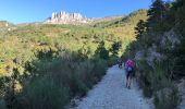 Randonnée Marche Castellane - Les Cadieres de Brandis - Photo 4