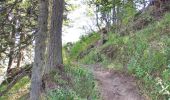 Trail Walking Saint-Gervais-les-Bains - Le Prarion - Photo 12