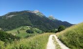 Trail Walking Aillon-le-Jeune - MONT PELAT boucle - Photo 1