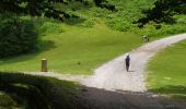 Randonnée Marche Sare - col de lizarrieta et col des 3 bornes - Photo 2