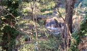Trail Walking Vins-sur-Caramy - Vins sur Caramy-13-11-2024  - Photo 7