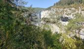 Excursión Senderismo Trigance - LE pont du Sautet,de Carajuan et le belvédère des vautours - Photo 13