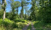 Randonnée Marche Vieux-Moulin - en foret de Compiègne_38_07_2021_sur la Route Eugénie - Photo 6